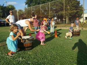 Crazy Games rental equipment and event fun