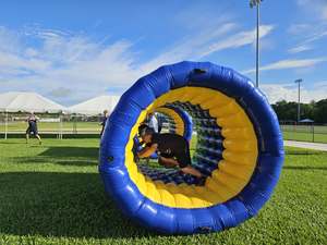 Crazy Games rental equipment and event fun